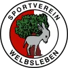 SG SV Welbsleben / Eintracht Quenstedt