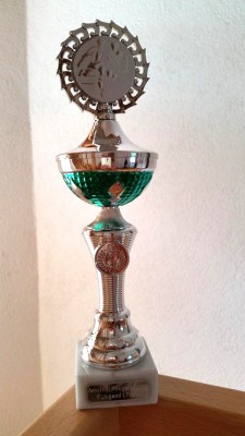 F-Jugend gewinnt Pfingstturnier
