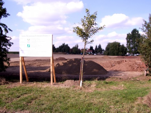 Nun doch Kunstrasenplatz für Arnstedt