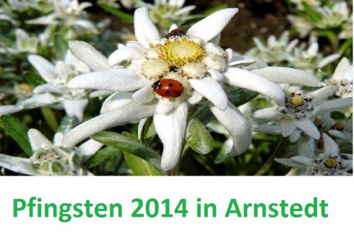 Pfingstfest 2014 in Arnstedt