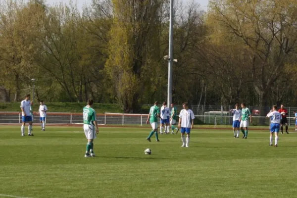 Eintracht Bitterfeld : SV Edelweiß Arnstedt 0:1