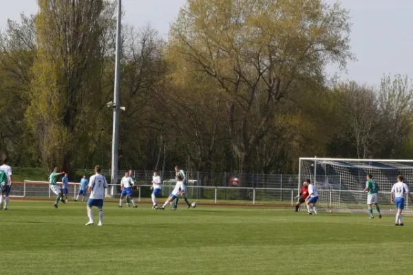 Eintracht Bitterfeld : SV Edelweiß Arnstedt 0:1