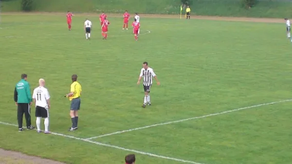 VfB IMO Merseburg : SV Edelweiß Arnstedt  	0 : 1