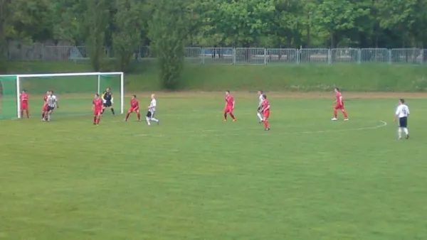 VfB IMO Merseburg : SV Edelweiß Arnstedt  	0 : 1