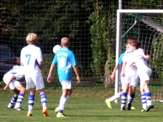 C I Heimspiel gegen Quedlinburger SV