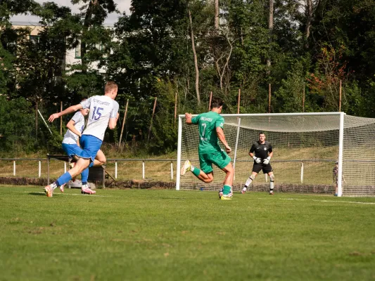 Testspiel: FC Hettstedt - Edelweiß Arnstedt 1:5