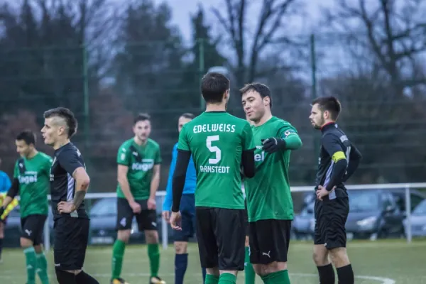 25.11.2017 Haldensleber SC vs. SV Edelweiß Arnstedt