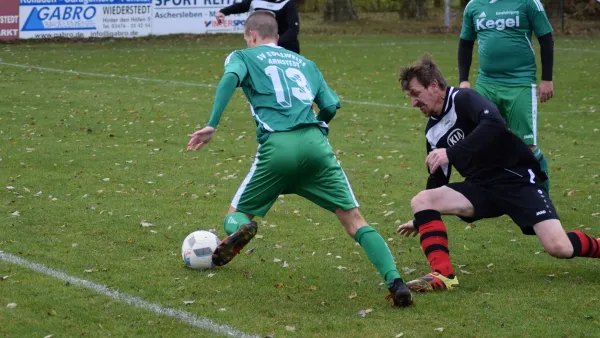 12.11.2017 SV Edelweiß Arnstedt II vs. ESV Lok Röblingen