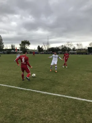 31.10.2017 SV Edelweiß Arnstedt vs. Germania Halberstadt