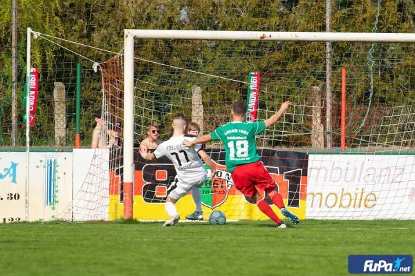 06.04.2019 Union Schönebeck vs. SV Edelweiß Arnstedt