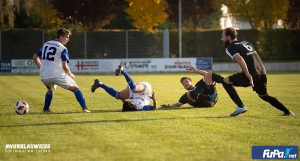 10.11.2019 SV Blau-Weiß Zorbau vs. SV Edelweiß Arnstedt