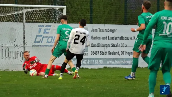 17.04.2025 SV Edelweiß Arnstedt vs. TSV Leuna