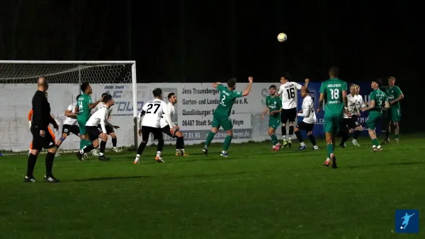 17.04.2025 SV Edelweiß Arnstedt vs. TSV Leuna