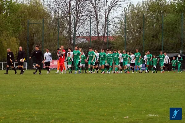17.04.2025 SV Edelweiß Arnstedt vs. TSV Leuna