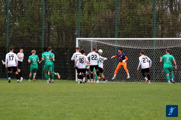 17.04.2025 SV Edelweiß Arnstedt vs. TSV Leuna