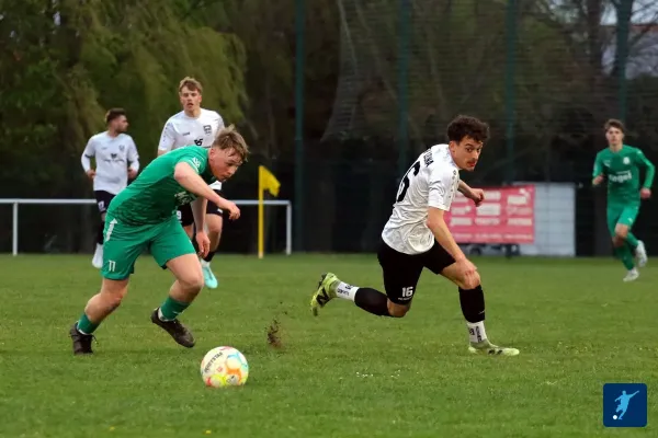 17.04.2025 SV Edelweiß Arnstedt vs. TSV Leuna