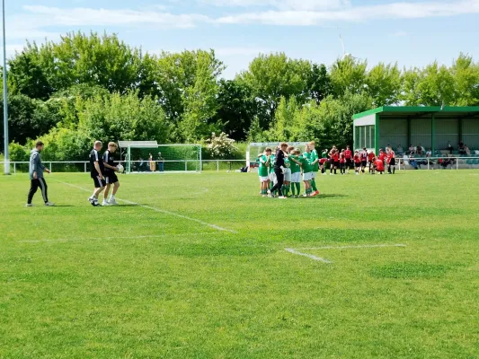01.06.2025 SV Edelweiß Arnstedt vs. Germania Halberstadt II